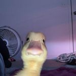 Max Pfefferle - @max.pfefferle - Instagram