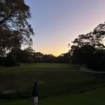 Max - @max.pidgeon - Instagram