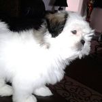 Max Pina - @pina3920 - Instagram