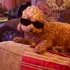 Max - @max.pineda - TikTok