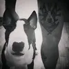 Макс - @maxpinsky - TikTok