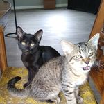 Max & Piper - @maxpiper2019 - Instagram