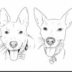 Max, Piper, & Rosie 🐾 - @snert_the_dingo - Instagram