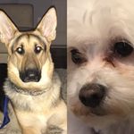 Max._.piper - @max._.piper - Instagram