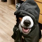 Max Pohl - @maxxam88342342 - Instagram