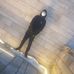 Max Pohl - Facebook