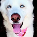 @maxpohl67 - Instagram