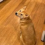Max Polansky - @max100386 - Instagram