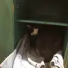 Max.Pollak_ - @max.pollak_ - TikTok