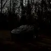 MaxPollard1145 - @maxpollard11 - TikTok