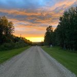 Max Pollock - @pollock_489 - Instagram