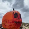 Max Pollock - @maxpollock8310 - TikTok