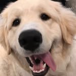 Max Polsky - @max_polsky - Instagram