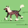 maxvonpippy - @max.vonpolsky - TikTok