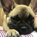 @max__poole - Instagram