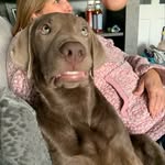 Max Poole - @maxpooles_priv - Instagram
