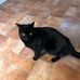 Max Poole - Facebook