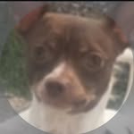 MaxPorras - @max107828 - Instagram