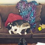 Max Posey - @maxthepotato98 - Instagram