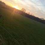 Max Pownall - @pownall_max - Instagram