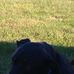 Max Prater - Facebook
