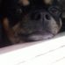 Max Prater - Facebook