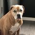 Maxwell Prater - Facebook