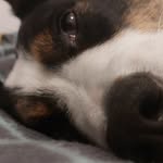 Max - @_max_presley_ - Instagram