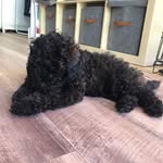 Max & Presley - @max_presley_91 - Instagram