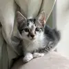 maxbaker - @maxpresley - TikTok