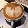 MAXspresso - @maxspresso - TikTok