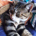 Max - @dr.maximilien_pretorius - Instagram