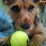 @max_pretorius797 - Instagram