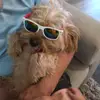 Max Price - @max.price25 - TikTok