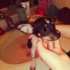 max_price - @max_price3 - TikTok