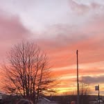 @maxprince_ - Instagram