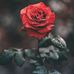 Max Pruitt - Facebook