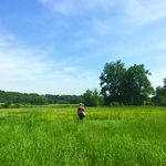 Max Pruss - @maxwoodsco - Instagram