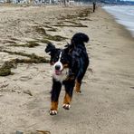 Max Ptacek - Facebook