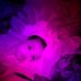 Max Puente - Facebook