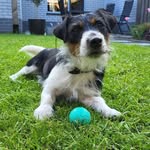 Max Pullen - @maxpullen42 - Instagram