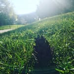 Max Pullen - @unified_photography_ - Instagram