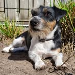Max Pullen - Facebook