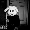MaxPurcell - @maxpurcell - TikTok