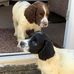 Max &amp; Purdy - Facebook