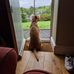 Max Purdy - Facebook