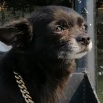 Max Purdy - @thuglife.juicy_max - Instagram