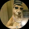 Max_Purdy - @maxpurdy123 - TikTok