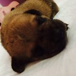 Max Purvis - @purvismax - Instagram