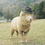 Max Purvis - @max.purvis.14 - Instagram